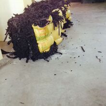装配线搞乌龙！日产召回149辆Altima：皮卡螺栓安到轿车上