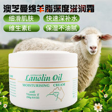 马拉松e区怎么跑