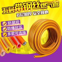 足球g代表