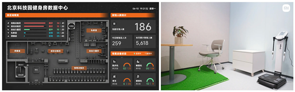 一招让老显卡重回巅峰！RTX 2080 Ti换硅脂后帧率翻倍 降温10℃