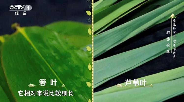 苹果A20 Pro测试成绩超过官方宣传：性能提升约25%