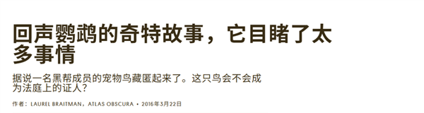 埃弗顿签下切尔西20岁边锋乔治，转会费起价1800万英镑